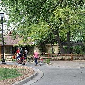 Detroit Zoo - North American River Otter Exhibit