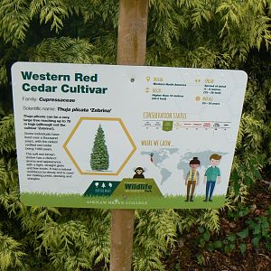 Signage Example - 27 July 2017