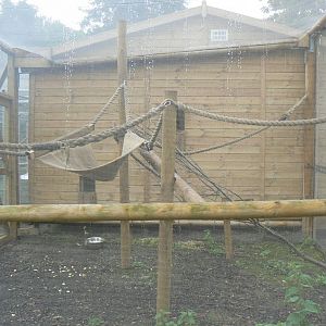 Black Lemur and Collared Lemur Enclosure - 27 July 2017