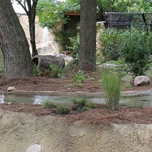 Detroit Zoo - North American River Otter Exhibit