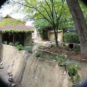 Detroit Zoo - North American River Otter Exhibit