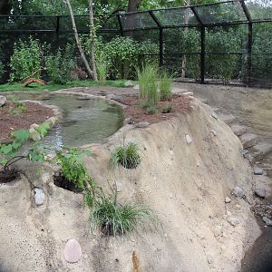 Detroit Zoo - North American River Otter Exhibit