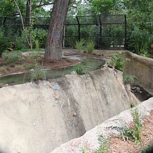 Detroit Zoo - North American River Otter Exhibit