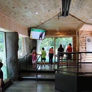Detroit Zoo - North American River Otter Exhibit