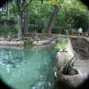 Detroit Zoo - North American River Otter Exhibit