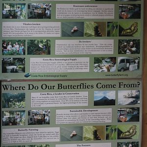 Butterfly-info-sign
