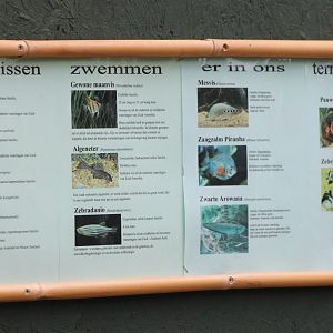 Fish-signs