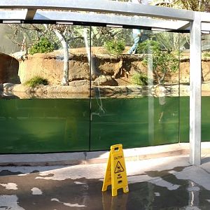 Leak at West African Forest