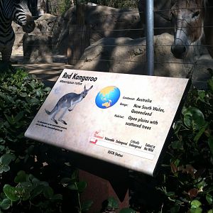 Kangaroo Signage 2013