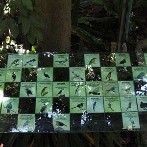 Aviary Signage