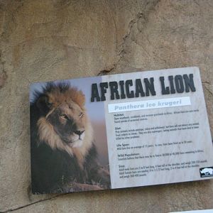African Lion Signage 2013