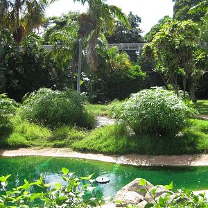 Waterfowl pond and tropical aviary in background