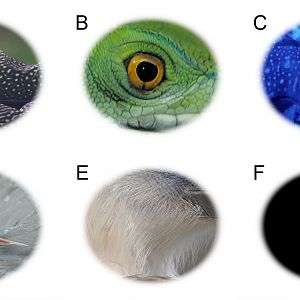 Photo Quiz July 2017