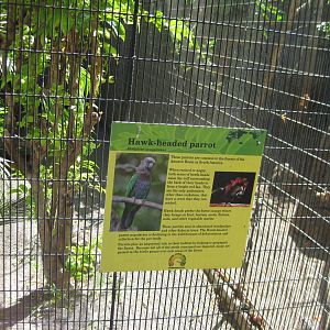Hawk Headed Parrot Signage