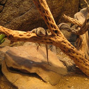 Viva Baja! Life on the Edge