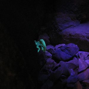 Viva Baja! Life on the Edge