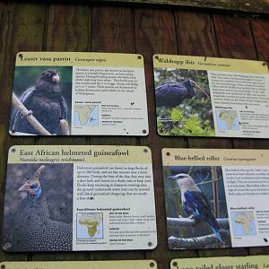 African Aviary Signage