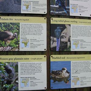 African Aviary Signage
