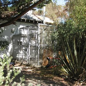 Empty exhibit (formerly held kookaburras)