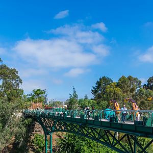Canopy Bridge opening looking West