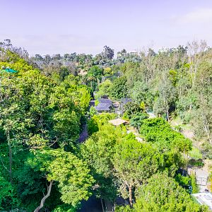 Looking South from the Bridge