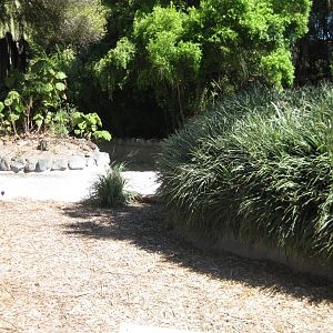 Empty exhibit in children's zoo