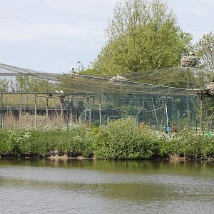 Walk-through aviaries