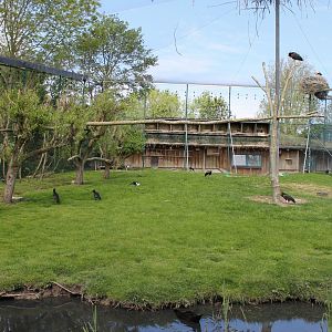 Walk-through aviary