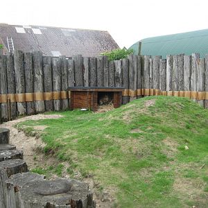Blåvand Zoo - Cavy exhibit