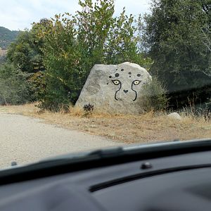 view along entrance drive