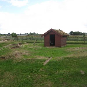 Blåvand Zoo - Donkey exhibit