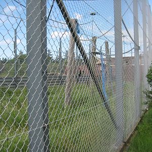Blåvand Zoo - Gibbon exhibit