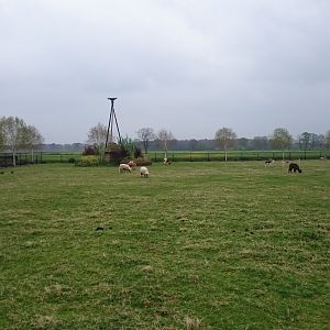 Hoofstock-enclosure