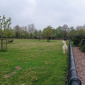Hoofstock-enclosure