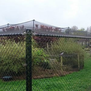 Large aviary