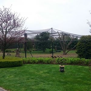 Large aviary