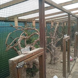 Indoor-aviaries