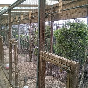 Indoor-aviaries