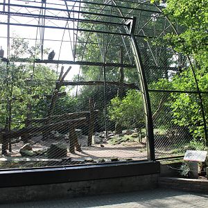Vulture-aviary