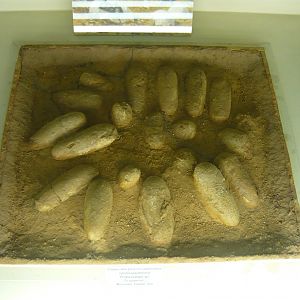 Dinosaur eggs
