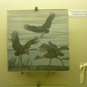 Dsaminartus dashzevegi reconstruction