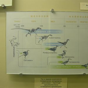 Alternative hypothesis of bird origins by Kurochkin