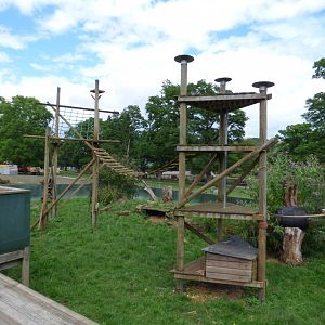 Coati and Racoon Enclosure