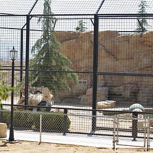 Malayan tiger exhibit