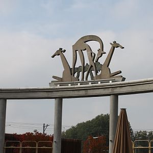 Statue old Giraffe-house