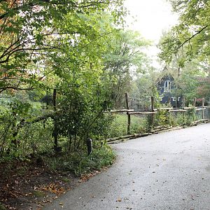 Enclosure Mhorr gazelle