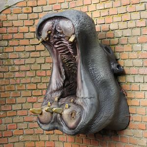 Hippo-statue