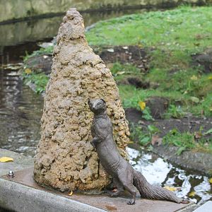 Yellow mongoose statue
