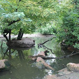 View in Asian walk-through-aviary