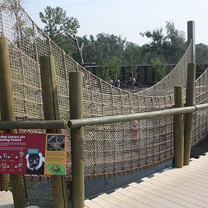 Land of Lemurs (New in 2017 and costing $8 million) - Kid-Friendly Mesh Bridge